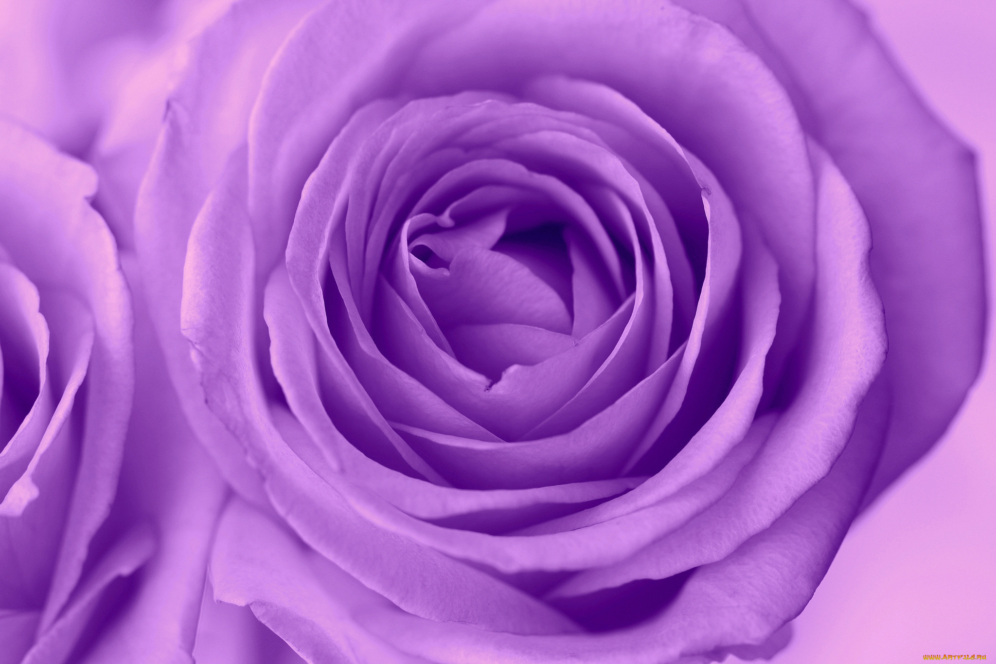 , , , , , , 